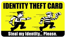 Identity Theft Plastic Pocket Card (1/Pkg)
