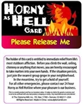 Horny As Hell Card Pocket Cards