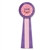 Birthday Princess Deluxe Rosette Ribbon