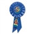 Blue My 5th Birthday Rosette Ribbon