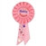 Birthday Princess Rosette Ribbon