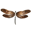 Eangee Home Design Earthtoned Dragonfly (m714039)