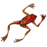 Eangee Home Design Wall Frog Small (m412022)