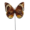 Eangee Home Design Garden Stake Butterfly Brown (m610021c)