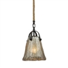 ELK Hand Formed Glass Collection 1-Light LED Pendant in Oil Rubbed Bronze- 10631/1