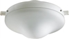 Quorum WET CFL LK W/ Opal- White