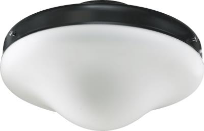 Quorum WET CFL LK W/ Opal- Matte Black