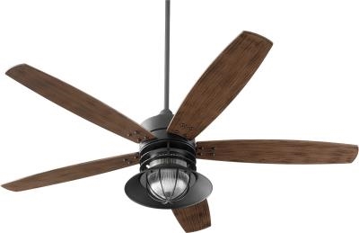 Quorum 60" Portico Wet Fan