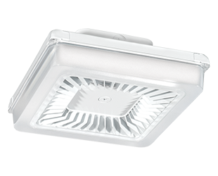 RAB PORTO Garage Lights Standard 30W 480V 5000K (Cool)