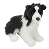 Chase Border Collie