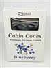 Paine's Blueberry Incense Cones - 25 pc.