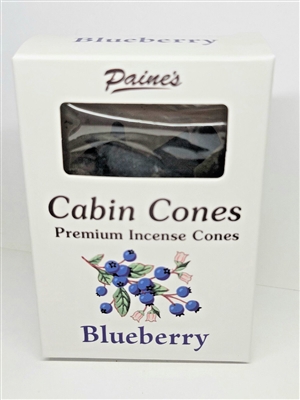 Paine's Blueberry Incense Cones - 25 pc.