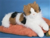 Puzzle Calico Cat