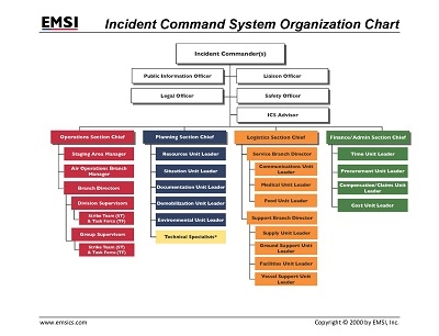 Organization Charts