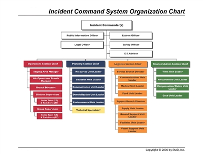 Organization Charts | Shell