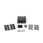 BTR .660" LIFT PLATINUM SPRING KIT WITH TITANIUM RETAINERS FOR GEN V LT4 SK008