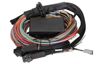 Elite 2500 & 2500 T Premium Universal Wire-in Harness