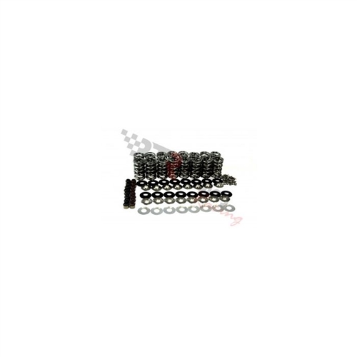 BTR .660" Dual Platinum Valve Spring Kit (LT4 Engines)