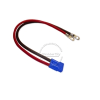 Battery Cable Anderson connector SB50 4 Gauge 48" inches eyelets 3/8" .48 volt applications red connector universal battery cable, universal eyelets