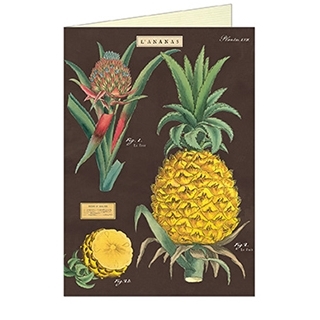 Pineapple Greeting Card