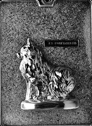 Large Pomeranian Mold animal dog