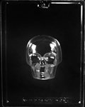 Medium 3D Skull Front Mold