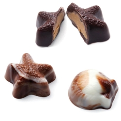 Seashell Continental Chocolate Mold