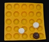 Daisy Flower Flexible Mold