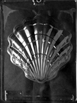 Large Shell Chocolate Mold