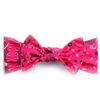 Little Bow Pip - Cerise Pink BowDana Medium