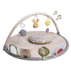 Taf Toys Tummy Time Activity Baby Gym Urban Garden