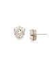 Sorrelli Perfectly Pretty Earring