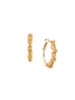 Sorrelli Raw Sugar Brandi Petite Hoop Earring
