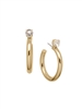 Sorrelli Crystal Keeley Studded Hoop Earrings