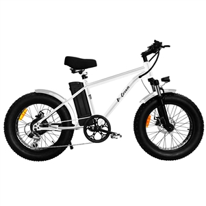 COYOTE 48V, 350W (White)