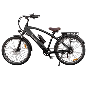 Easy Rider 48V 350W (Black)