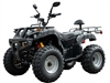 Beast ATV 4WD 2000W (Black)