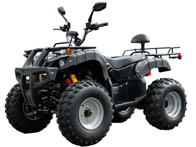 Beast ATV 4WD 2000W (Black)