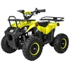 Sasquatch Junior 48V, 350W (Yellow) Bluetooth