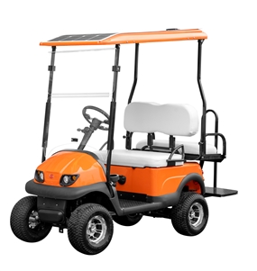 Golf Cart 36V, 2000W 1 Seat (orange)