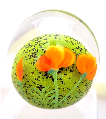 Orient & Flume Art Glass California Poppy  Paper Weight