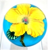 Lundberg Studios Daniel Salazar Yellow Hibiscus on Turquoise Paperweight