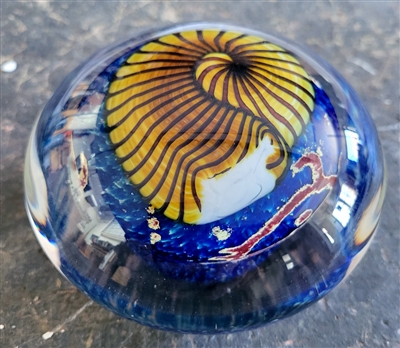 Rick Satava Golden Nautilus Paper Weight