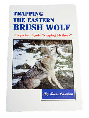 Trapping the Eastern Brush Wolf