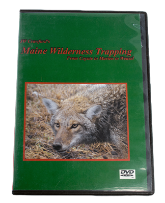Maine Wilderness Trapping