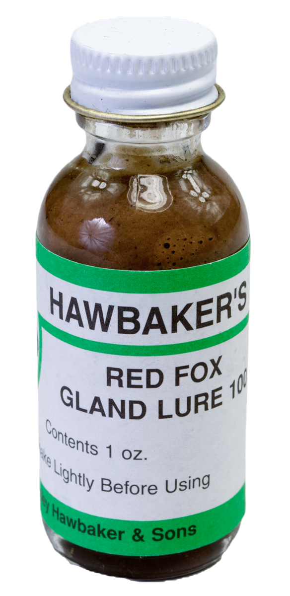 Hawbaker's Red Fox Gland Lure 100 - Heavy Gland Lure