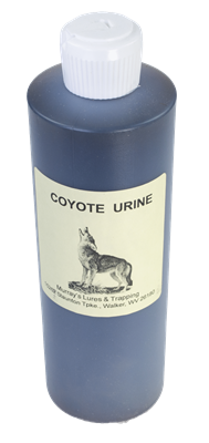 Murray's Coyote Urine