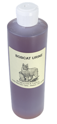 Murray's Bobcat urine