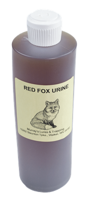 Red Fox Urine with Antifreeze