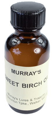 Sweet Birch Oil